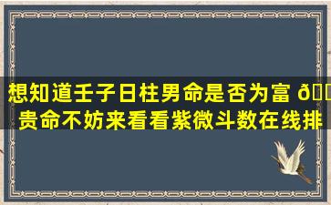 想知道壬子日柱男命是否为富 🌵 贵命不妨来看看紫微斗数在线排盘的分析结果！